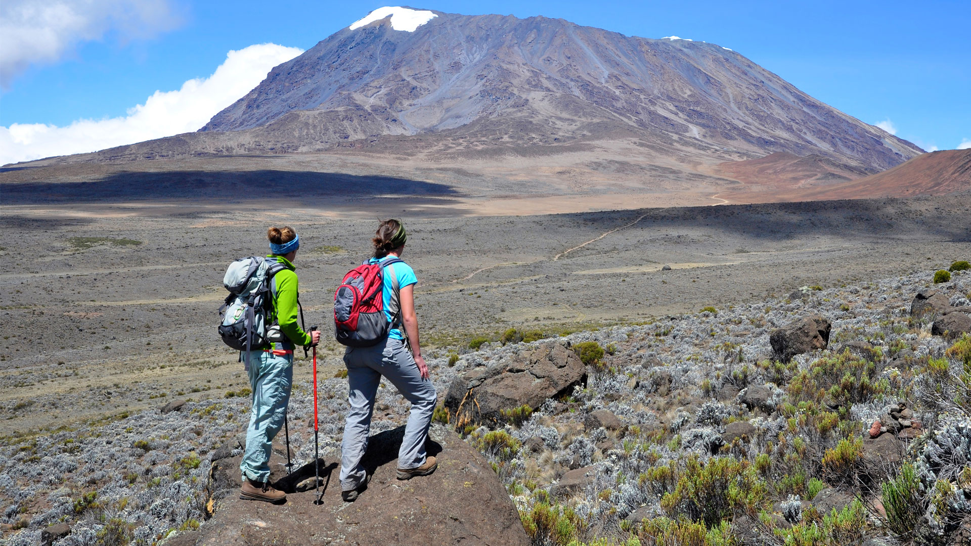 Kilimanjaro Day Hike