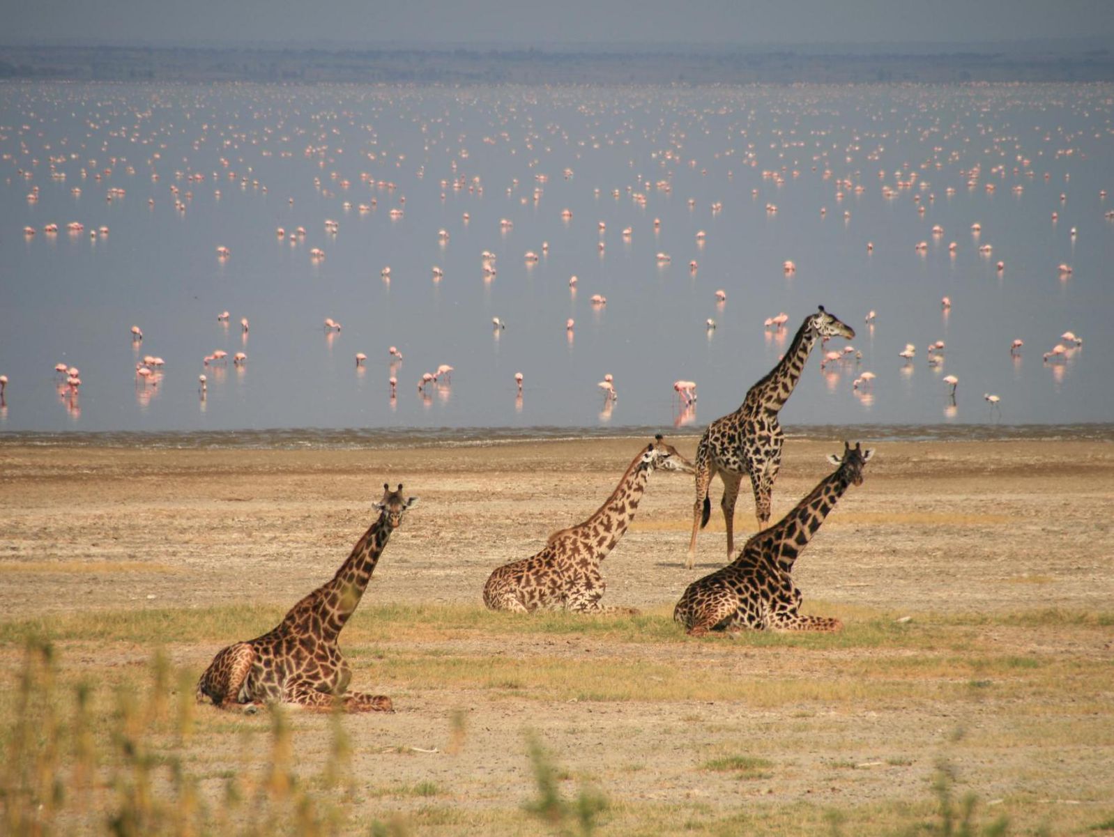 lake manyara