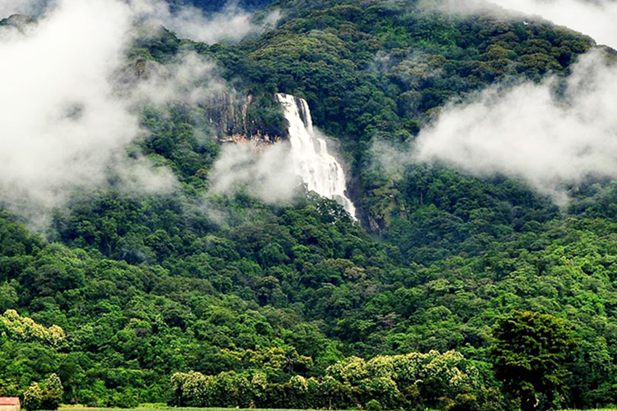  Udzungwa National Park